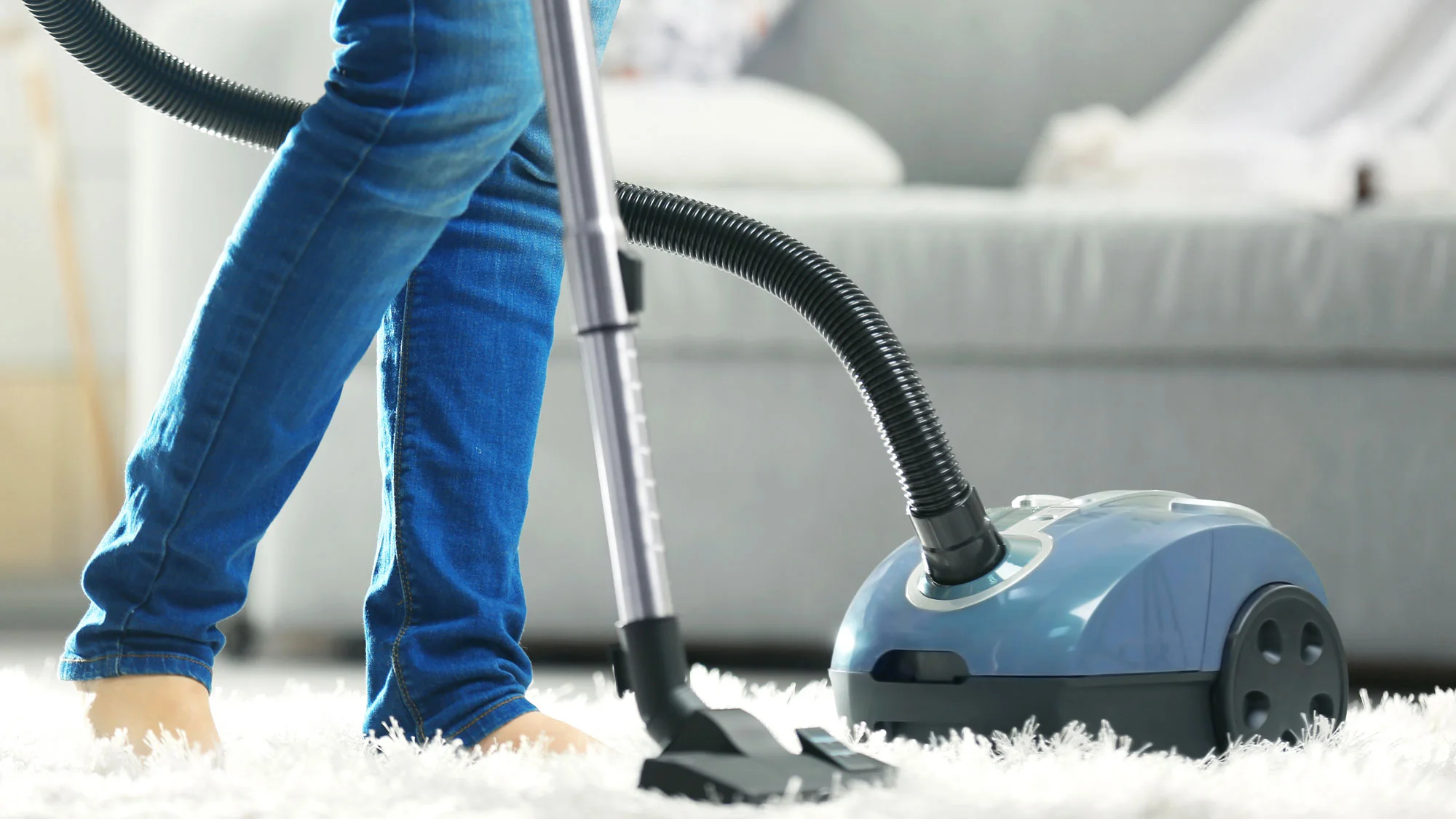 Best Vacuum For Thick Carpet 2022